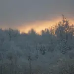 Magien ved nissebreve: Skab juleglæde og forventning i hjemmet